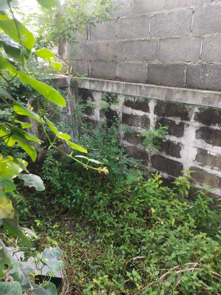 Builder: Image 55