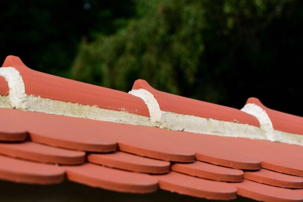 Roofer: Image 1