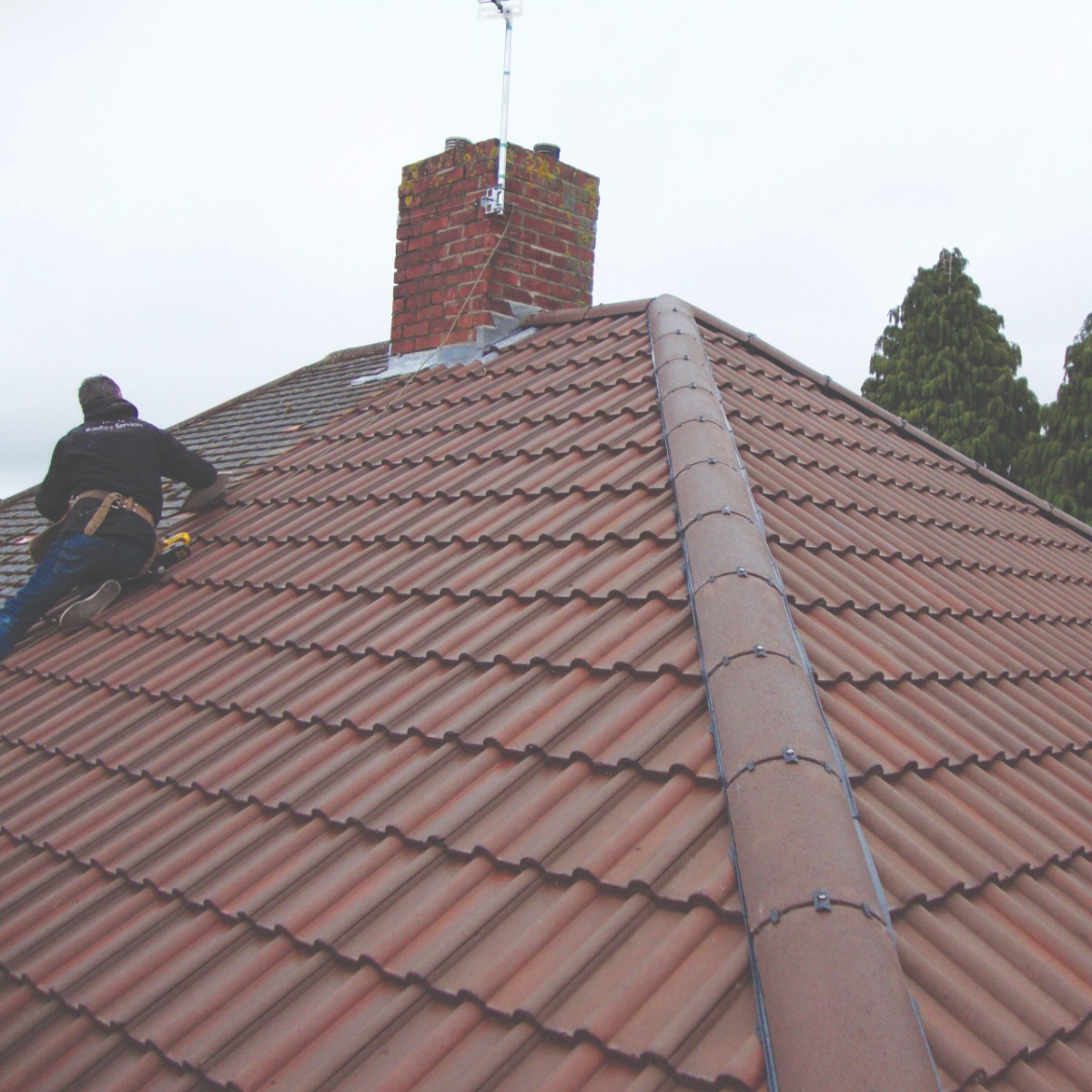 Roofer: Image 6