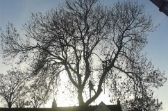 Gardener: Image 6