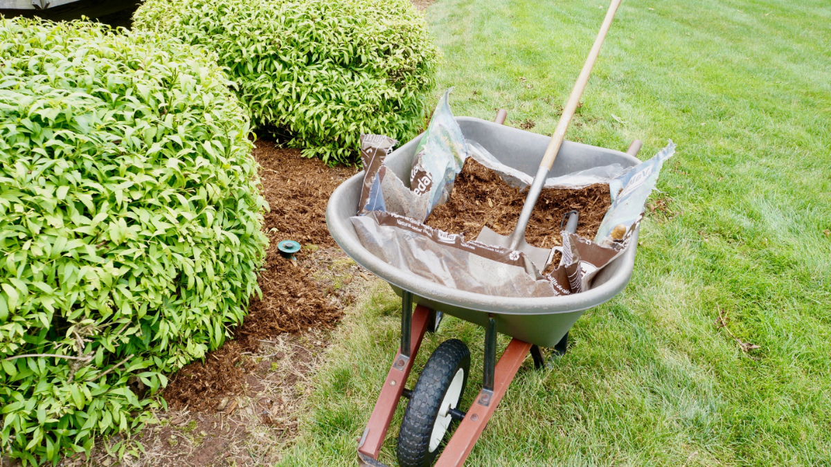 Gardener: Image 4